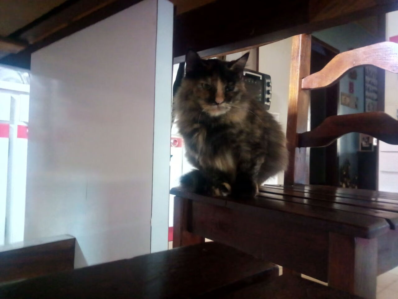 球员在高压节奏下如何降低失误风险,球员在高压节奏下如何降低失误风险