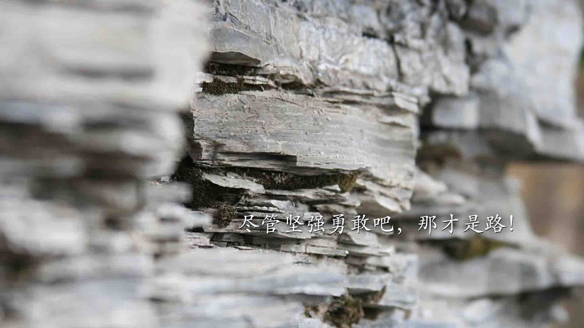 维拉双边路活跃制造传中良机，维拉输出