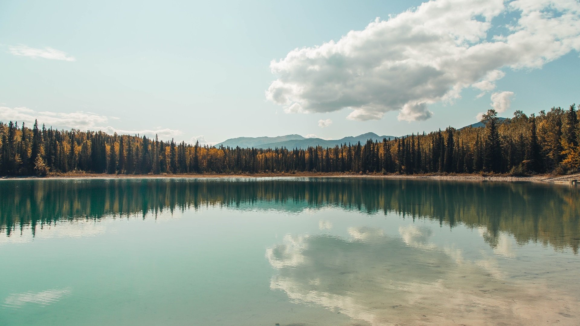 奥运备战名单出炉全员蓄势待发,运动员奥运会备战多久