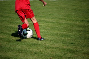 kaiyun体育app-CBA球队加强后勤保障体系优化训练和比赛准备，cba后备联赛