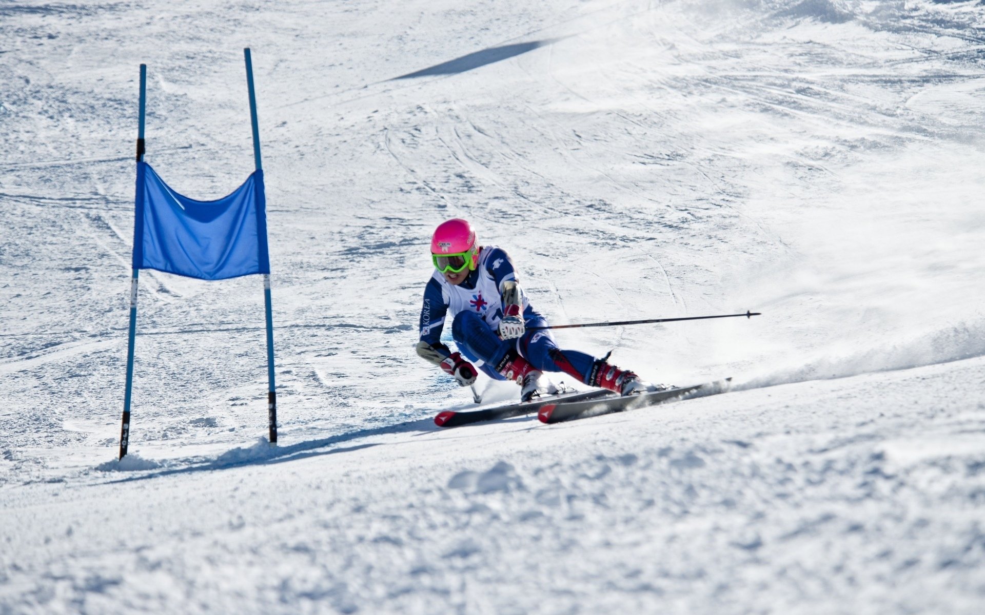 篮球特色高中项目持续扩容助力体育与升学双轨并进，篮球特色学校实施方案